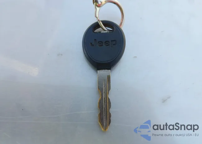 1J4FA29134P715165: 42297821