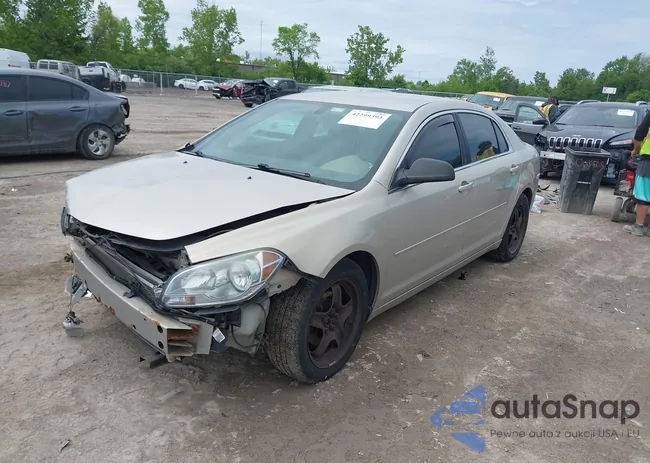 1G1ZB5EB2AF279516: 42299393