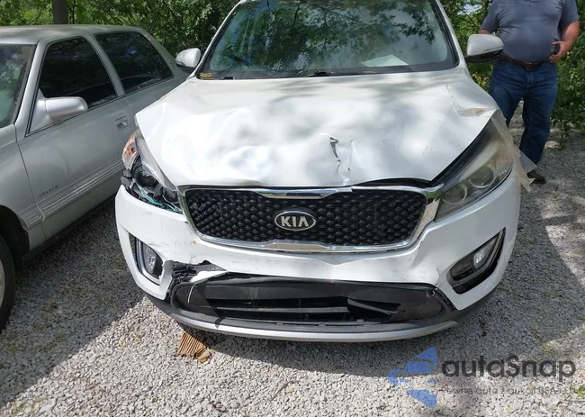 5XYPH4A51HG321382: 42299413