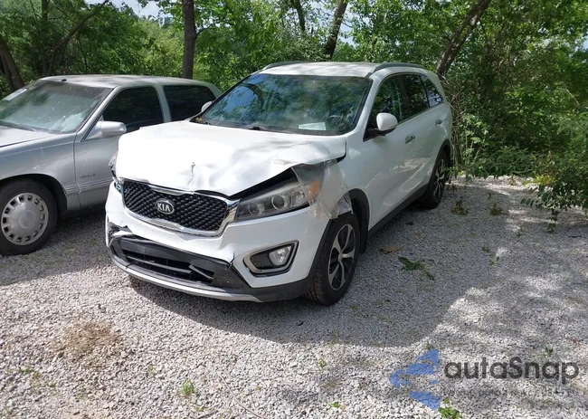 5XYPH4A51HG321382: 42299413