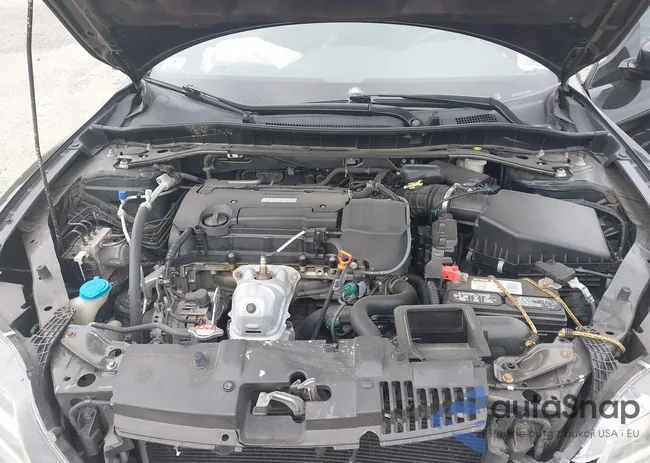 1HGCT1B79HA010134: 42299433