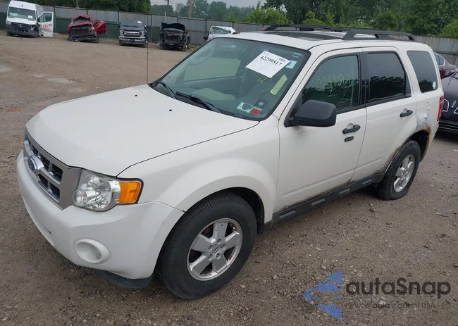 1FMCU9D73BKC15873: 42299517