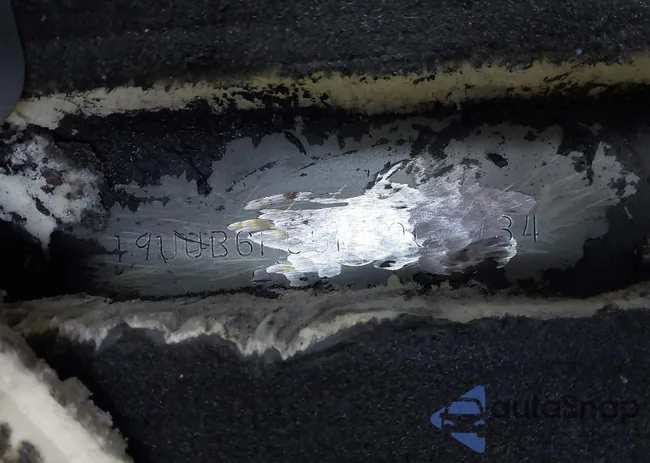 19UUB6F55MA007934: 42298800