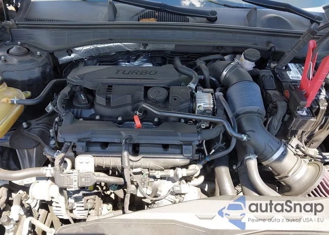 5NPEH4J29MH117459: 42300701