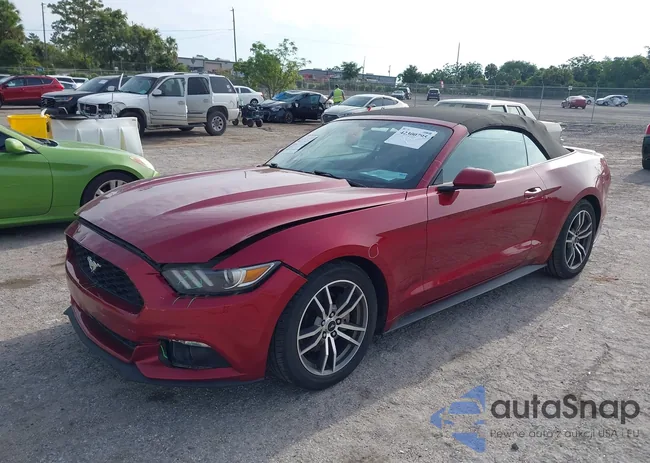 1FATP8UH8G5281846: 42300795