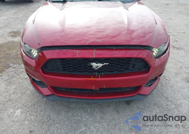 1FATP8UH8G5281846: 42300795