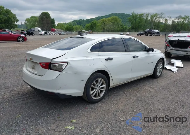 1G1ZB5ST5HF177635: 42299831