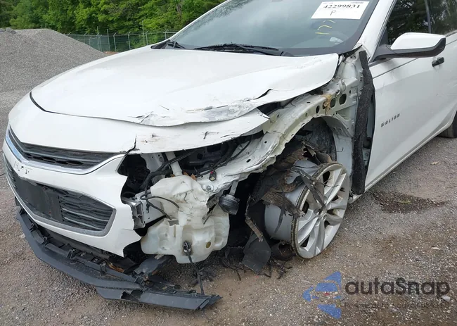 1G1ZB5ST5HF177635: 42299831