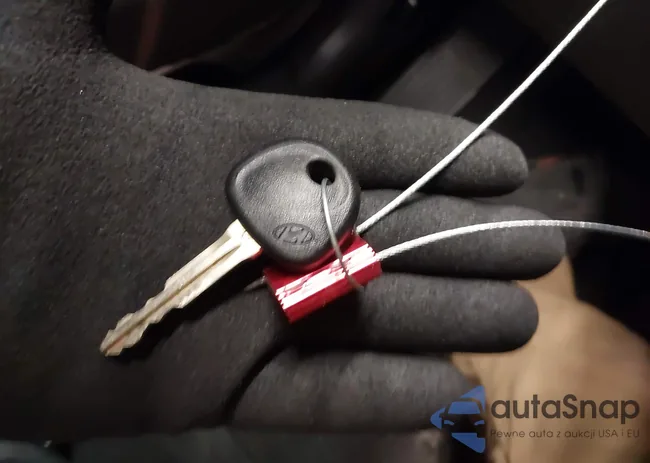 5NPDH4AE9CH068705: 42299981