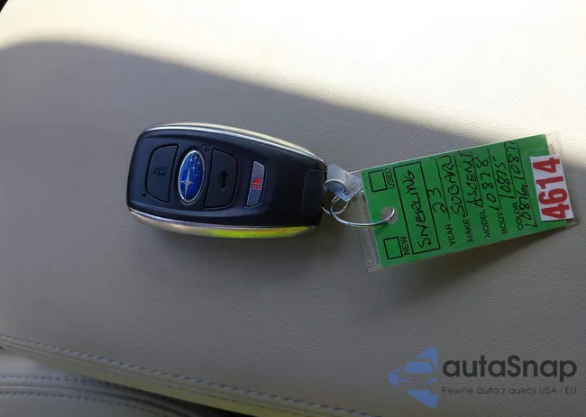 4S4WMAND5P3419482: 42301341