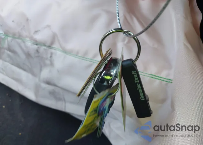 1G1FB1RX1N0105964: 42301623