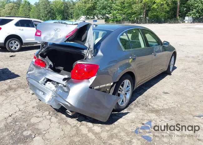 JN1CV6APXBM506124: 42303460