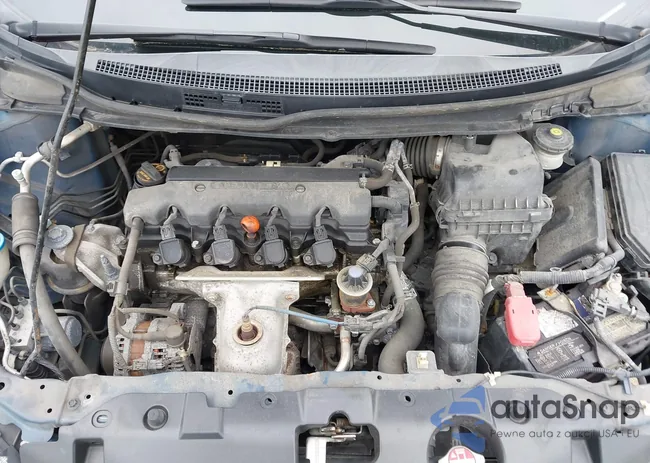 2HGFB2F52DH585282: 42303044