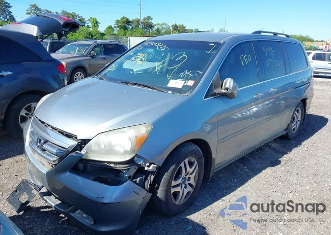 5FNRL384X5B052445: 42305275