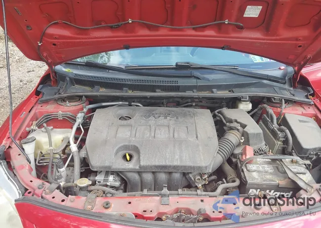 2T1BU4EE0BC687496: 42305129