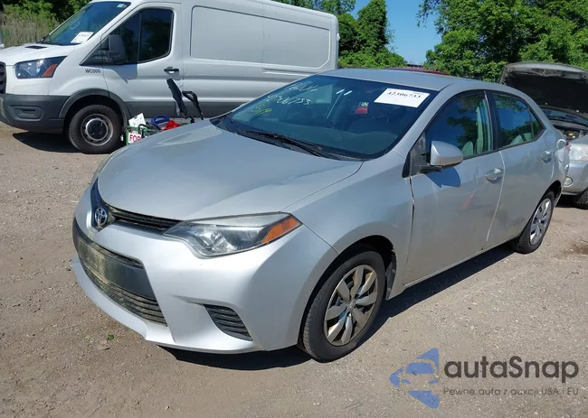 2T1BURHEXEC093124: 42306733