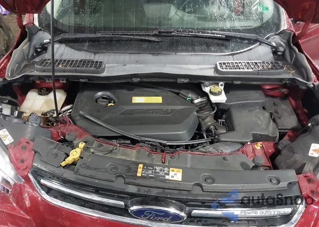 1FMCU0JX4EUD14596: 42305926