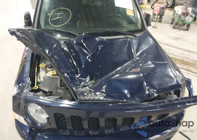 1C4NJRFB6FD239876: 42307334