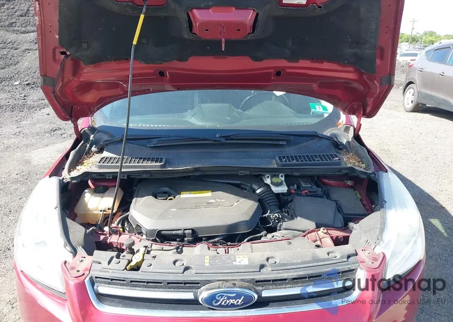 1FMCU9JX6FUB58518: 42307468