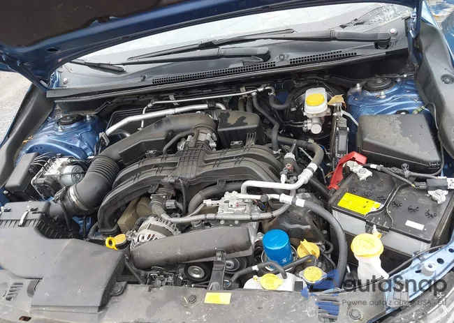 JF2GTHRC5PH303922: 42307008