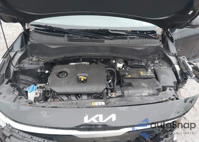 KNDEPCAA4P7374462: 42308340