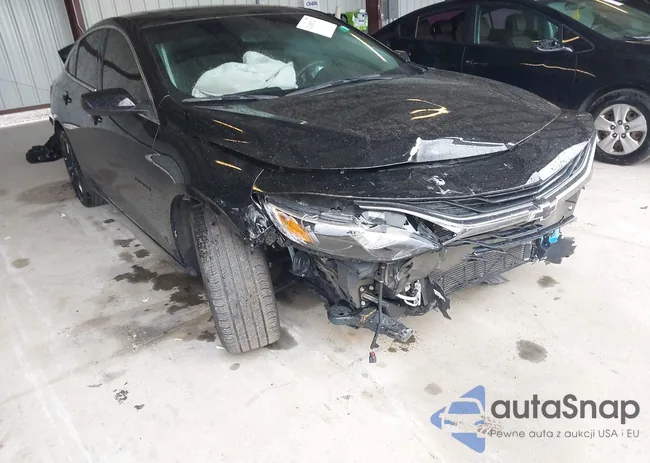 1G1ZD5ST0NF207081: 42308741