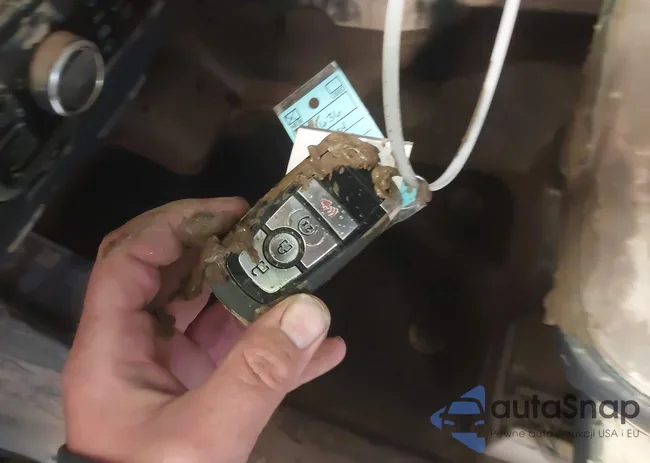 1FMDE8BH3RLB38272: 42307911