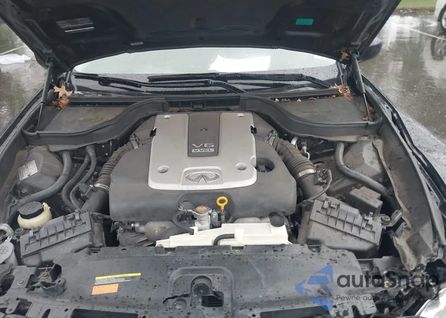 JN1CV6APXAM202452: 42308177