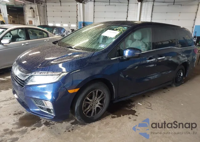 5FNRL6H91JB000239: 42309399