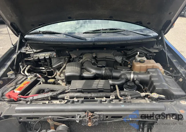 1FTFW1EV9AFC99585: 42310459