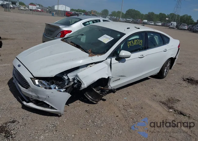 3FA6P0LUXHR317936: 42310729