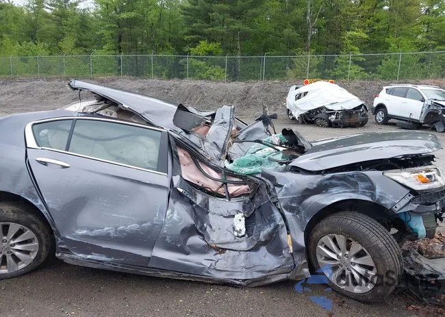 1HGCR3F98EA011230: 42310754