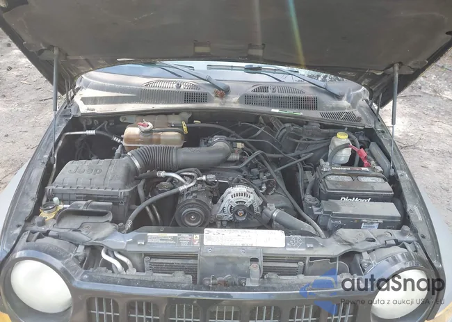 1J4GL48K76W142302: 42310169