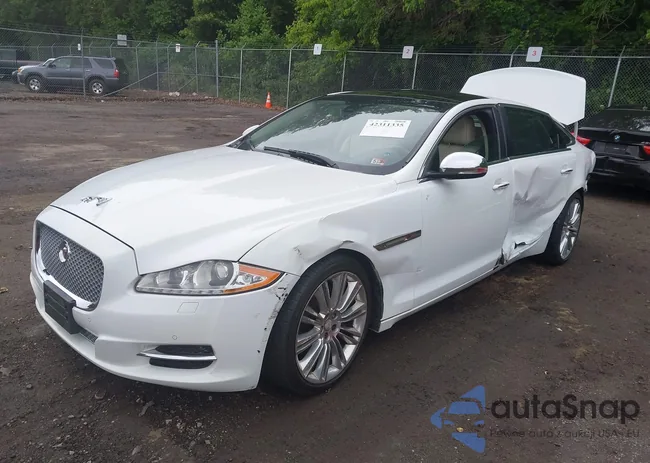 SAJWJ2GD2F8V90256: 42311335