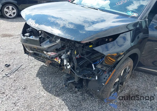 5XYK6CAF1PG043908: 42311774