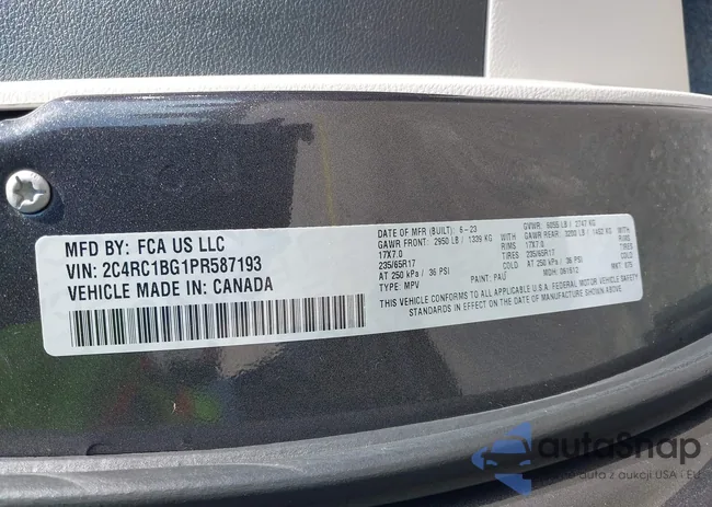 2C4RC1BG1PR587193: 42310958