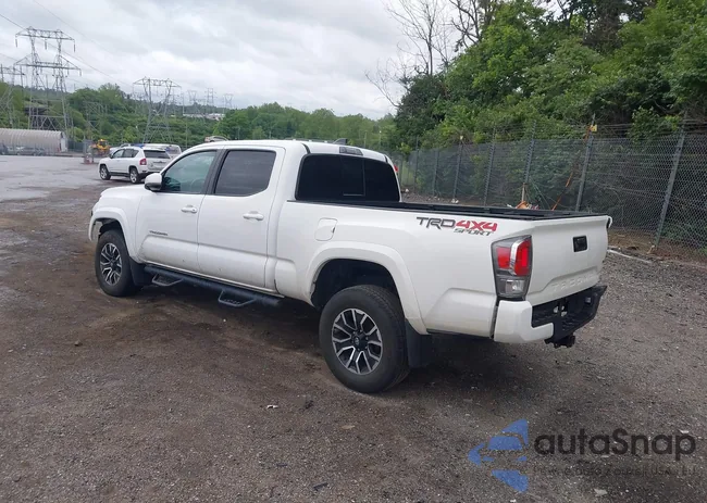 3TMDZ5BN3PM141729: 42312340