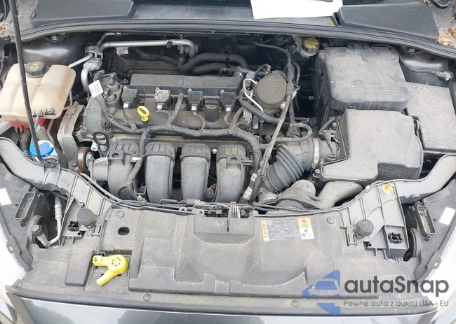 1FADP3K2XGL218717: 42312667