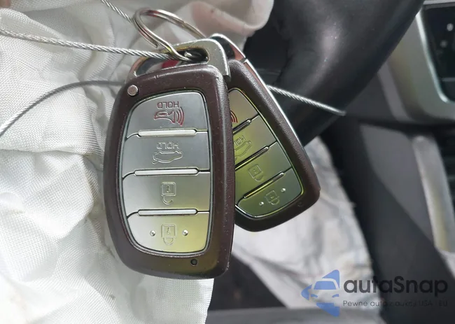 5NPE34AFXHH514489: 42311880