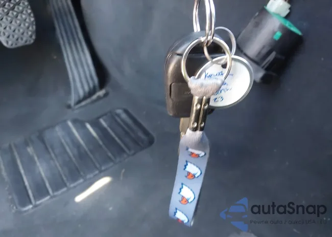 4USCN33412LK52494: 42313228