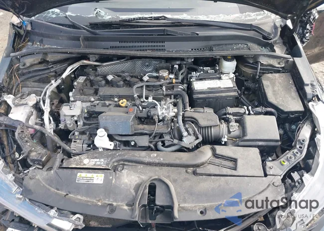 5YFB4MDE5PP077926: 42313288