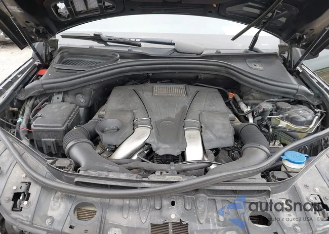 4JGDF7CE5DA186193: 42313320