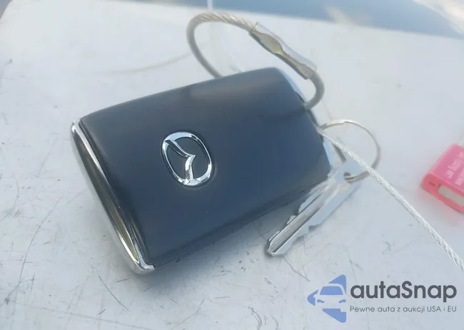 JM1BPAKM8S1752519: 42313387