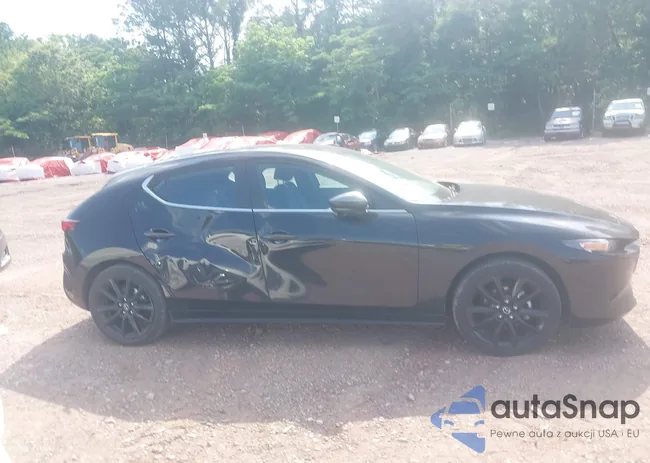 JM1BPAKM8S1752519: 42313387