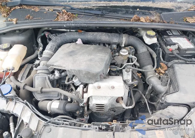 1FADP3FE5JL228583: 42313614