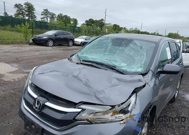 2HKRM4H52GH704300: 42313677