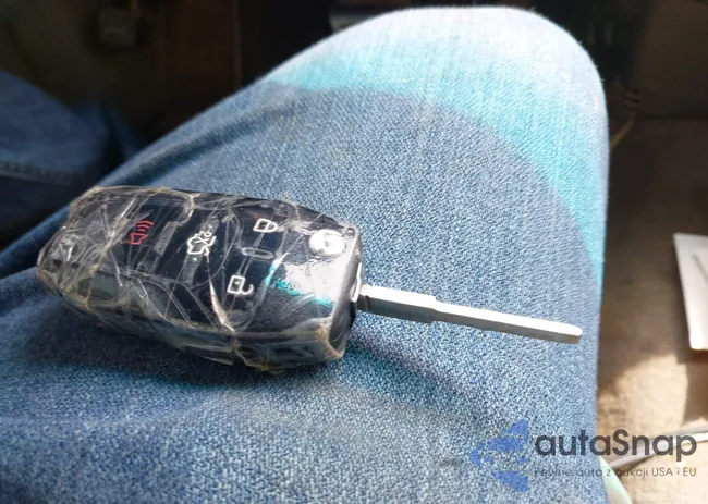 3FA6P0HR0DR250035: 42313004