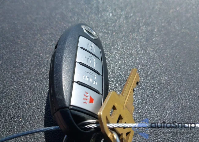 1N4AL2AP9BC134015: 42313063