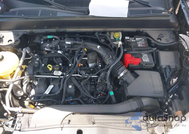 3FTTW8F9XPRB02755: 42313102