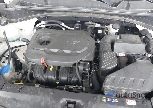 KNDP6CAC9L7767946: 42313119